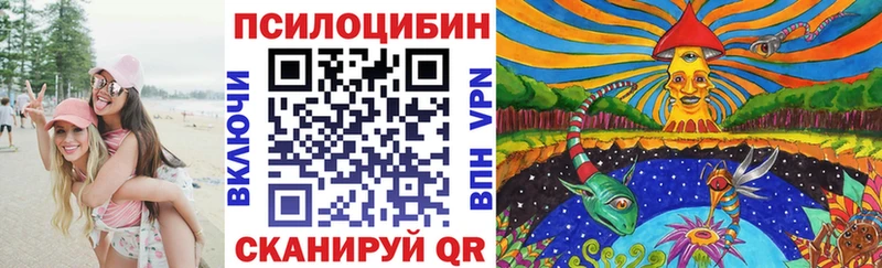 Галлюциногенные грибы Psilocybe  Знаменск 
